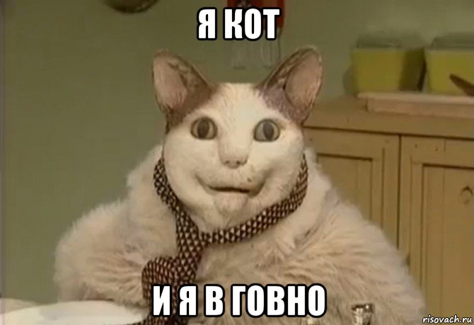 я кот и я в говно