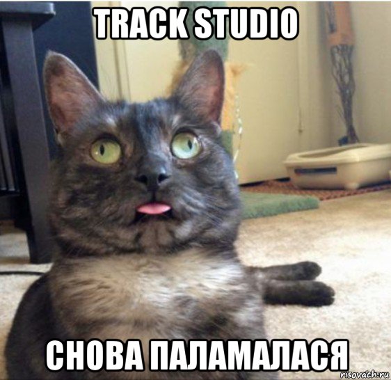 track studio снова паламалася, Мем   Кот завис