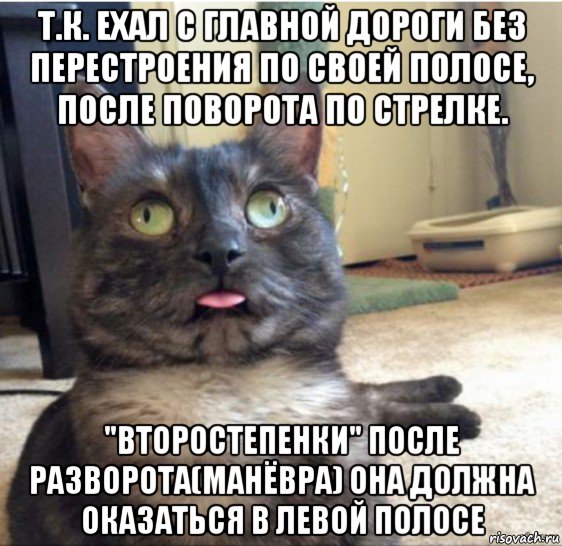 т.к. ехал с главной дороги без перестроения по своей полосе, после поворота по стрелке. "второстепенки" после разворота(манёвра) она должна оказаться в левой полосе, Мем   Кот завис