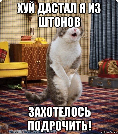 хуй дастал я из штонов захотелось подрочить!