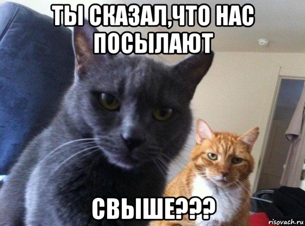 ты сказал,что нас посылают свыше???