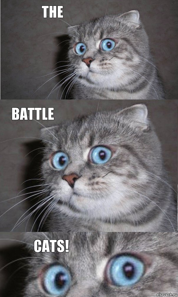 the battle cats!, Комикс  котейка