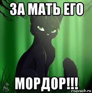 за мать его мордор!!!