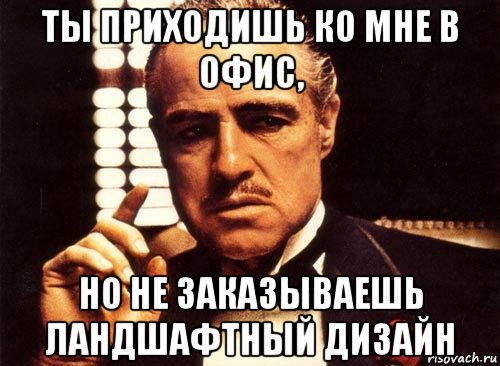 ты приходишь ко мне в офис, но не заказываешь ландшафтный дизайн, Мем крестный отец