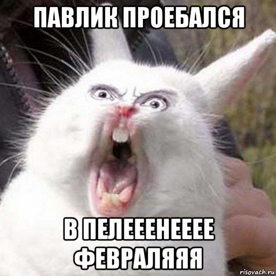 павлик проебался в пелееенееее февраляяя