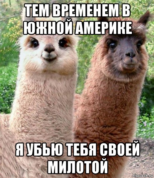 тем временем в южной америке я убью тебя своей милотой