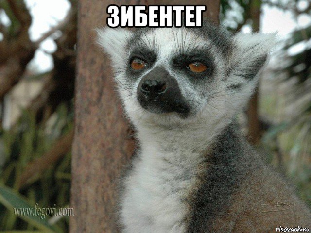 зибентег 