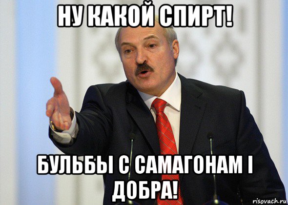 ну какой спирт! бульбы с самагонам i добра!, Мем лукашенко