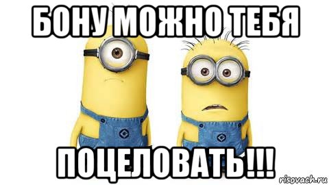 бону можно тебя поцеловать!!!, Мем Миньоны