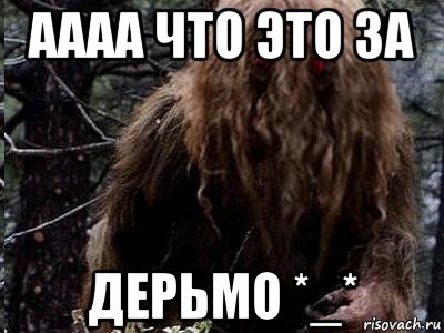 аааа что это за дерьмо *_*