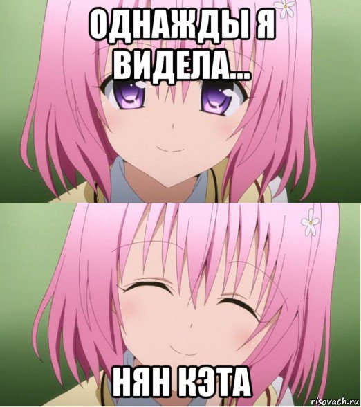 однажды я видела... нян кэта, Мем Момо