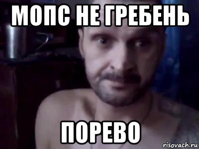 мопс не гребень порево
