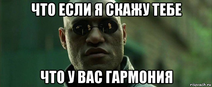 что если я скажу тебе что у вас гармония