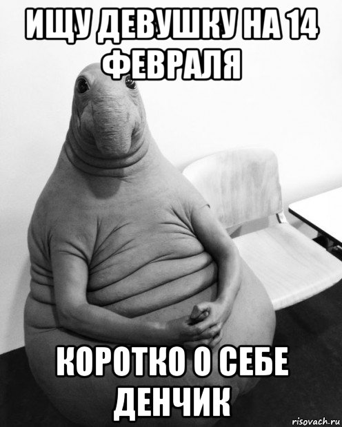 ищу девушку на 14 февраля коротко о себе денчик