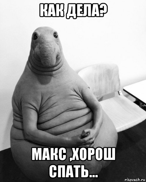 как дела? макс ,хорош спать...