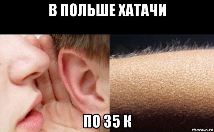 в польше хатачи по 35 к