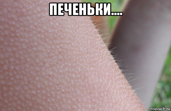 печеньки.... 