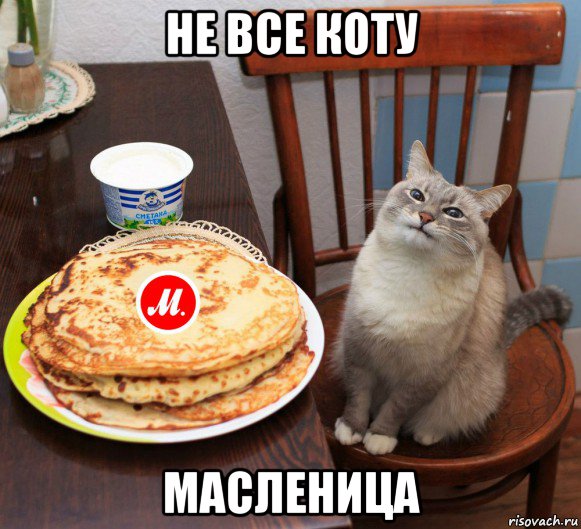 не все коту масленица