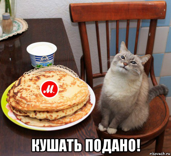  кушать подано!
