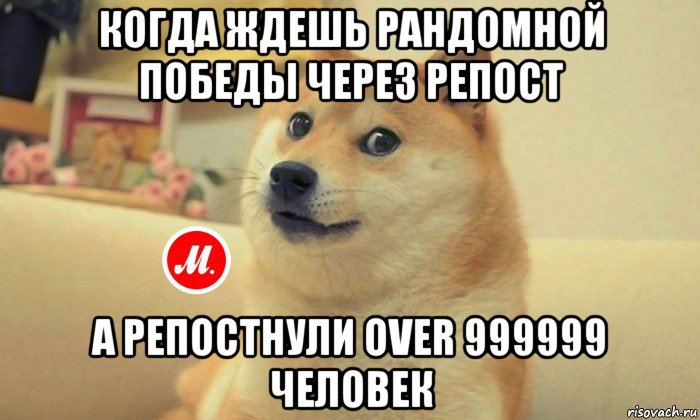 когда ждешь рандомной победы через репост а репостнули over 999999 человек