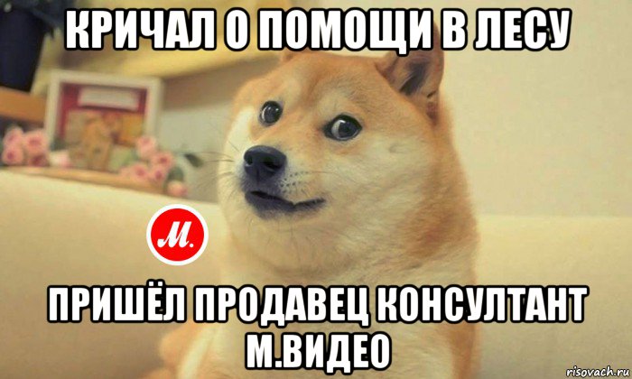 кричал о помощи в лесу пришёл продавец консултант м.видео