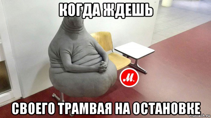 когда ждешь своего трамвая на остановке