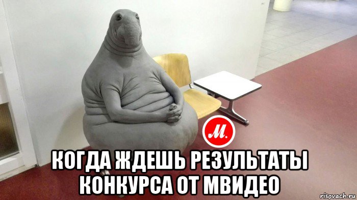  когда ждешь результаты конкурса от мвидео