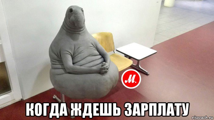  когда ждешь зарплату
