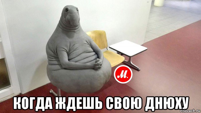  когда ждешь свою днюху