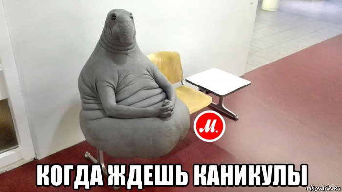  когда ждешь каникулы