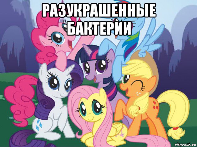 разукрашенные бактерии , Мем My little pony