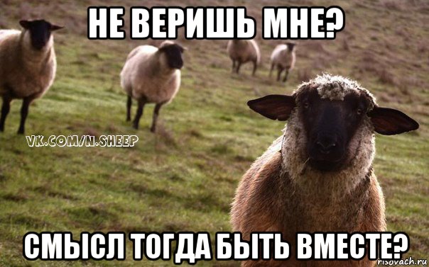 не веришь мне? смысл тогда быть вместе?