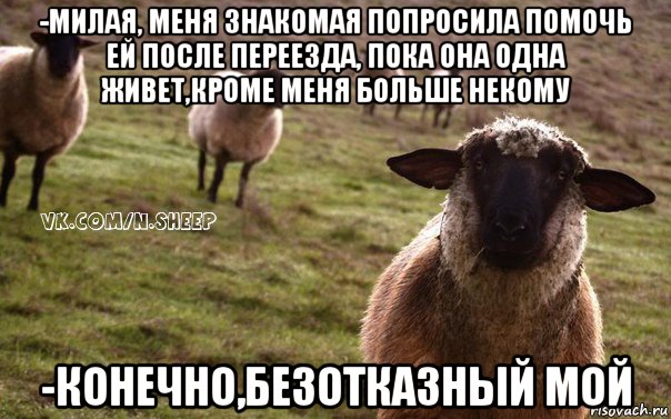 -милая, меня знакомая попросила помочь ей после переезда, пока она одна живет,кроме меня больше некому -конечно,безотказный мой, Мем  Наивная Овца