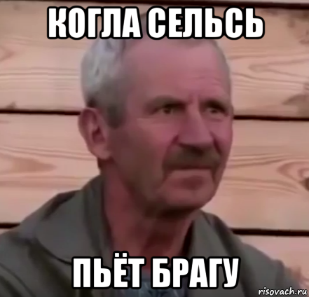 когла сельсь пьёт брагу