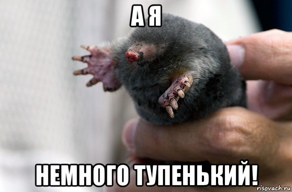 а я немного тупенький!, Мем Ну бывает