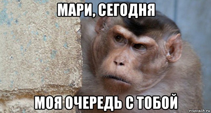 мари, сегодня моя очередь с тобой