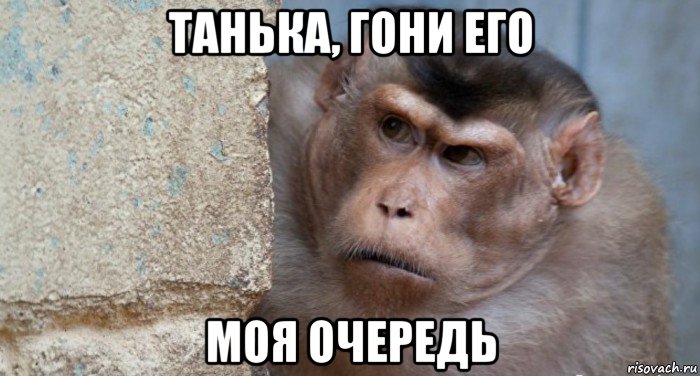 танька, гони его моя очередь