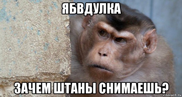ябвдулка зачем штаны снимаешь?