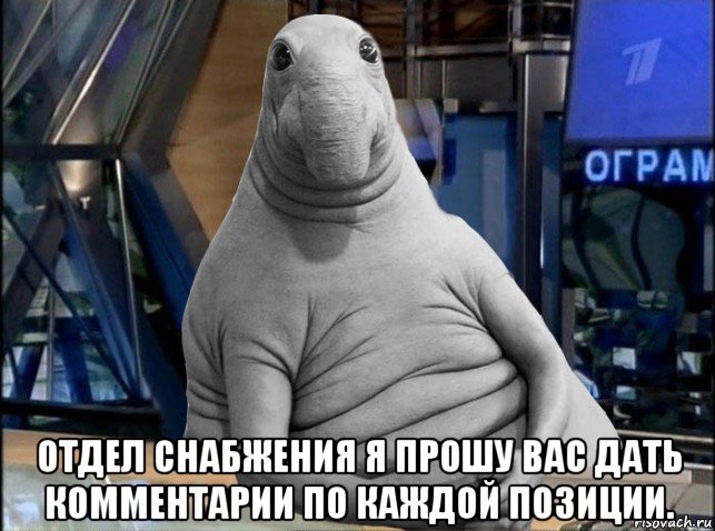 отдел снабжения я прошу вас дать комментарии по каждой позиции.