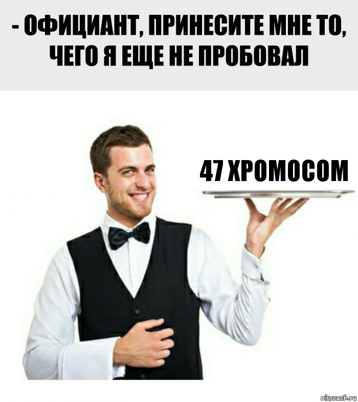 47 хромосом, Комикс Официант