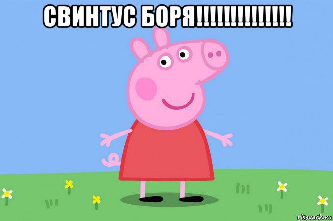 свинтус боря!!!!!!!!!!!!!! , Мем Пеппа