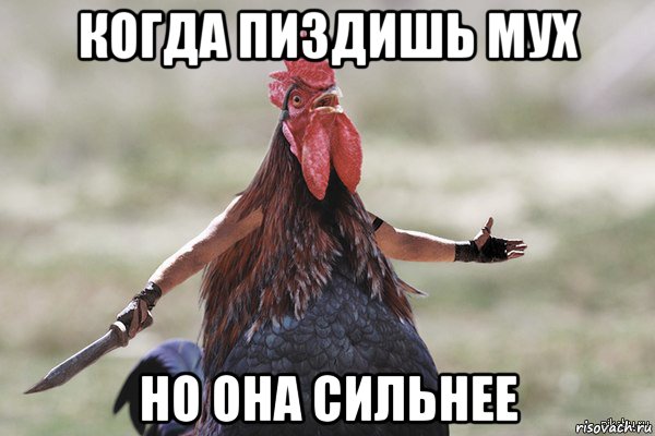когда пиздишь мух но она сильнее