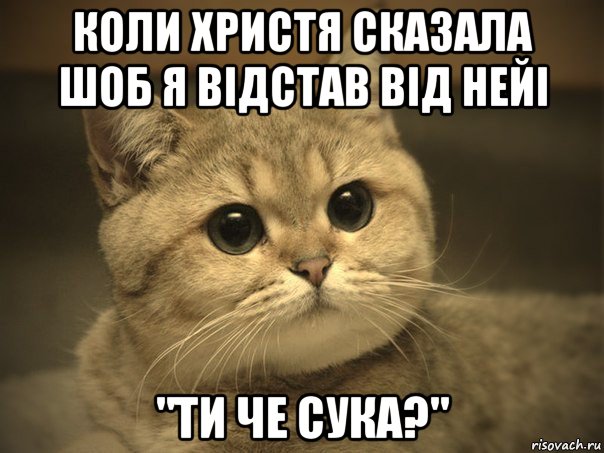 коли христя сказала шоб я відстав від нейі "ти че сука?", Мем Пидрила ебаная котик