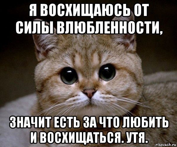 я восхищаюсь от силы влюбленности, значит есть за что любить и восхищаться. утя., Мем Пидрила Ебаная