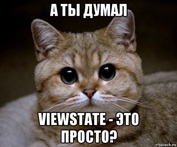 а ты думал viewstate - это просто?, Мем Пидрила Ебаная