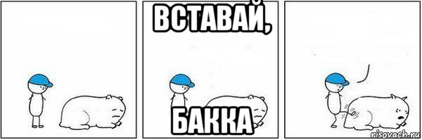 вставай, бакка