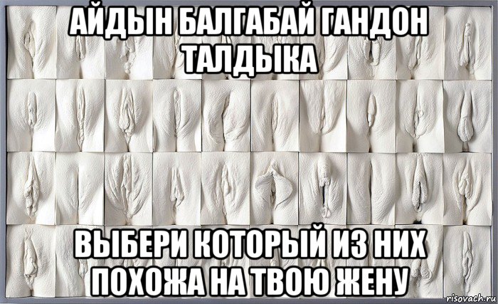 айдын балгабай гандон талдыка выбери который из них похожа на твою жену