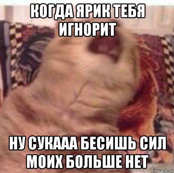 когда ярик тебя игнорит ну сукааа бесишь сил моих больше нет