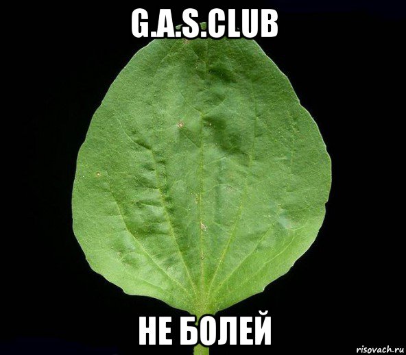 g.a.s.club не болей
