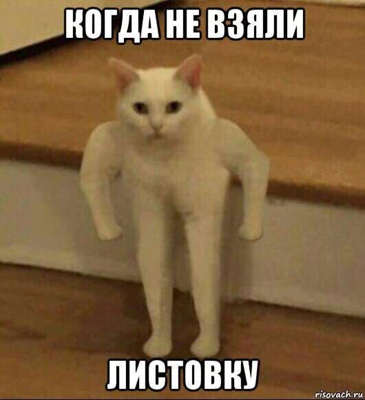 когда не взяли листовку